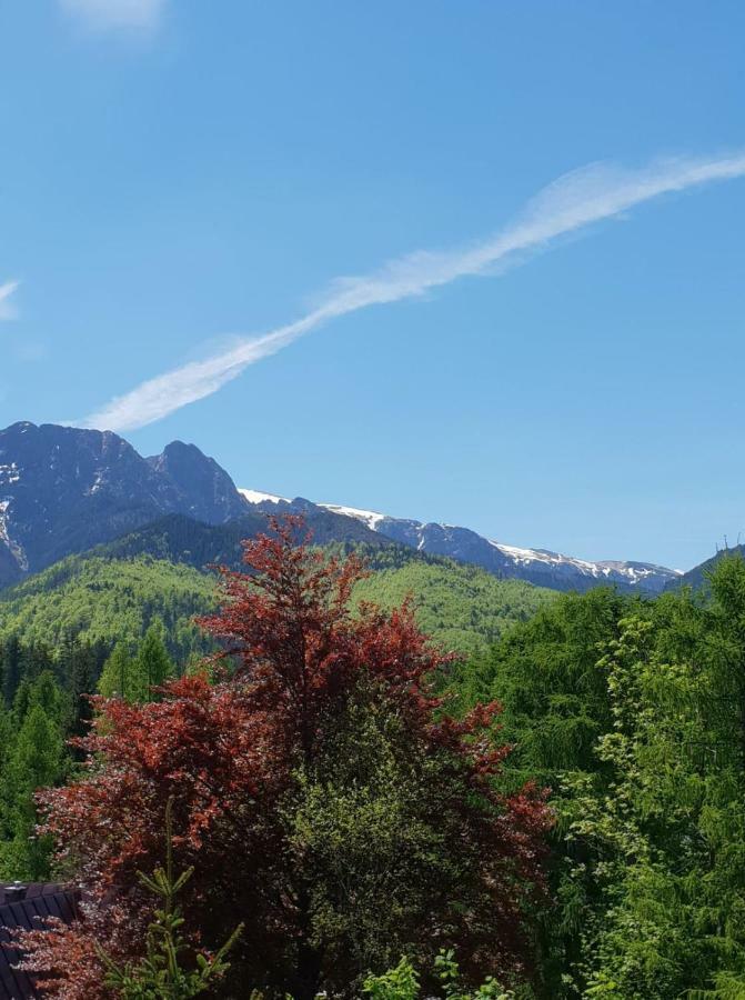 Bed and Breakfast Bel-Ami Zakopane Esterno foto